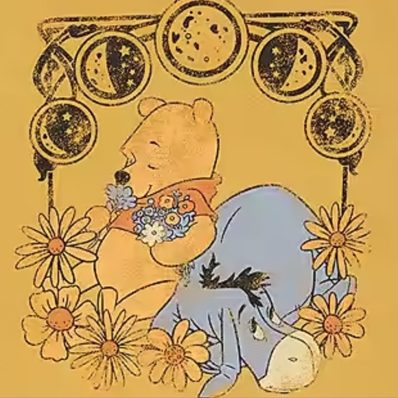 Winnie the Pooh & Eeyore hoodie - Picture 3 of 4